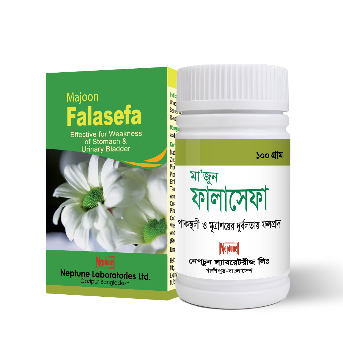 Majoon Falasefa